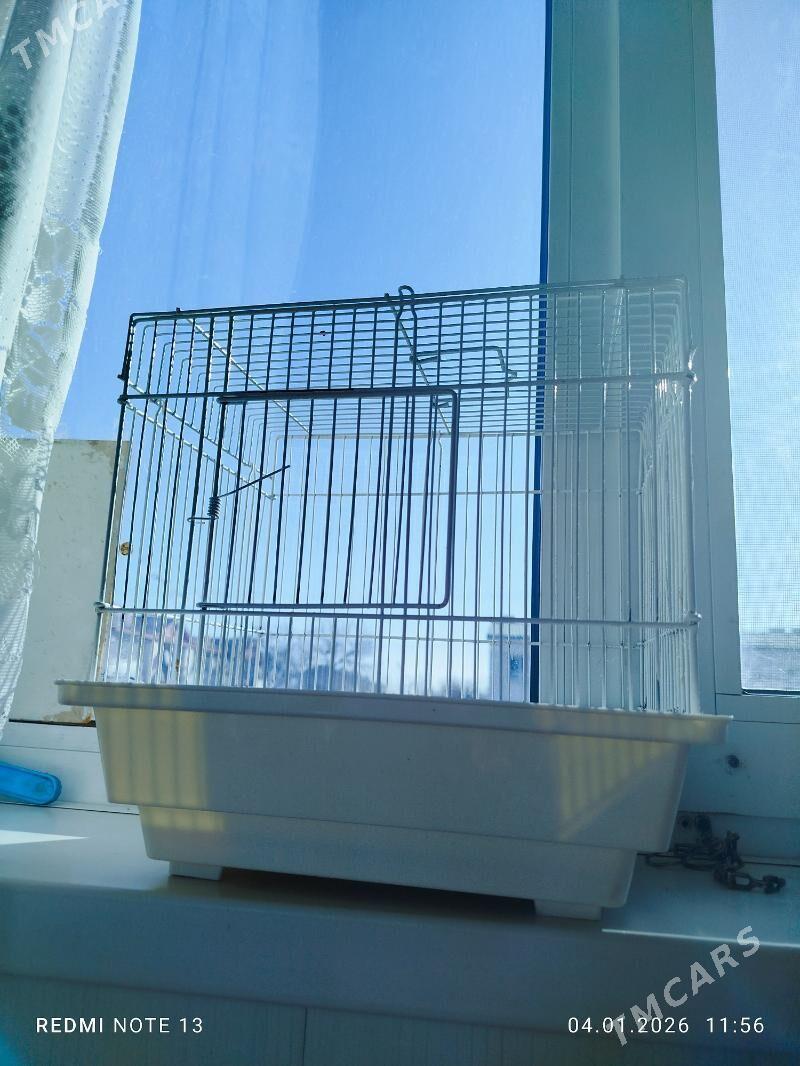 Клетка для хомяка - Балканабат - img 1