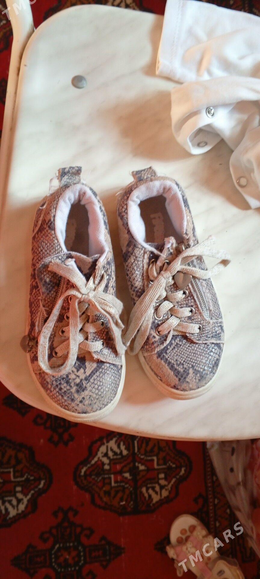 çağa kowusleri arasaja - Gurtly - img 1