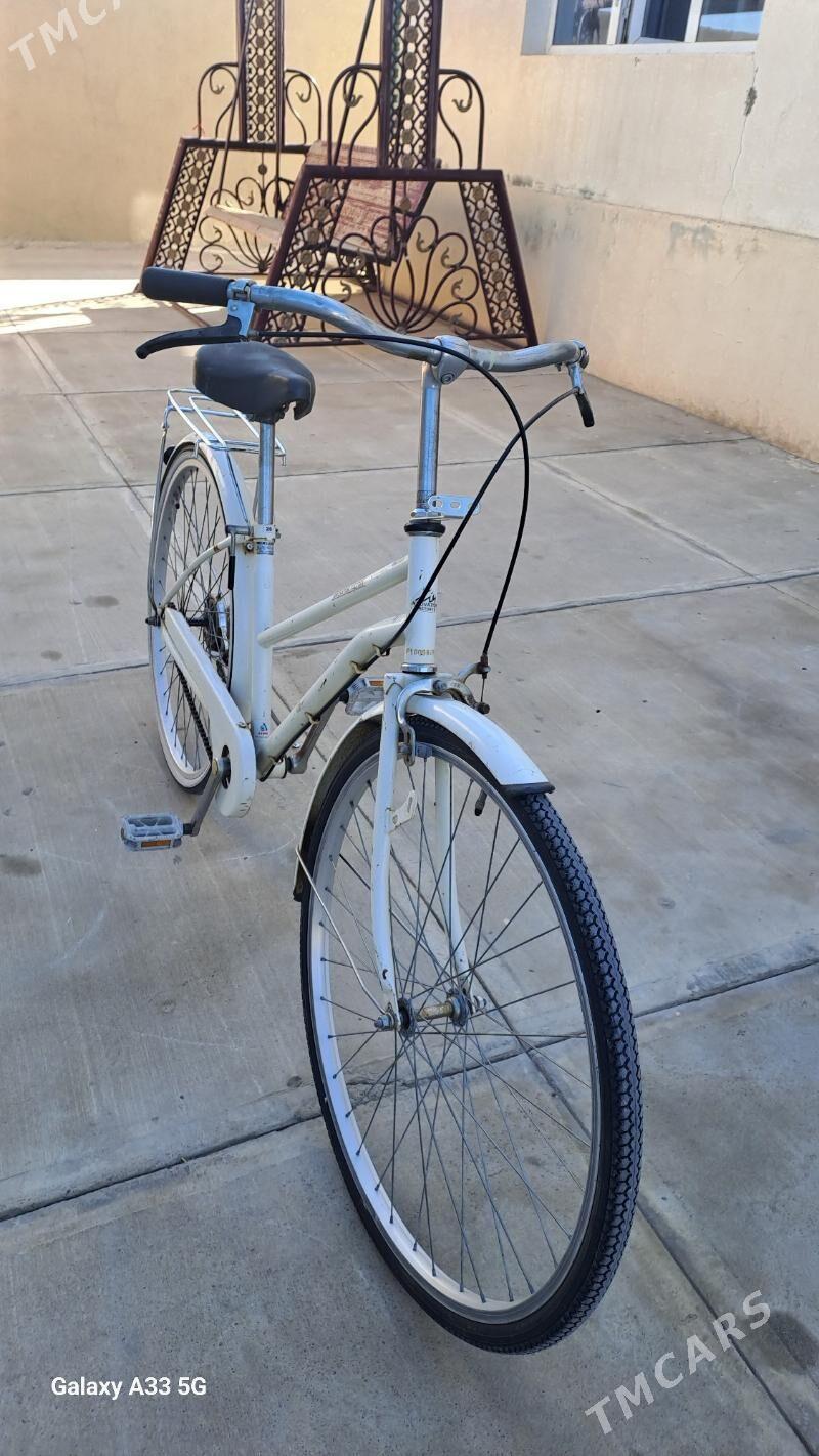 yaponski tigir - Gökje - img 1