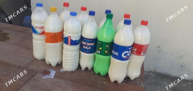 süýt - Гёкдже - img 1