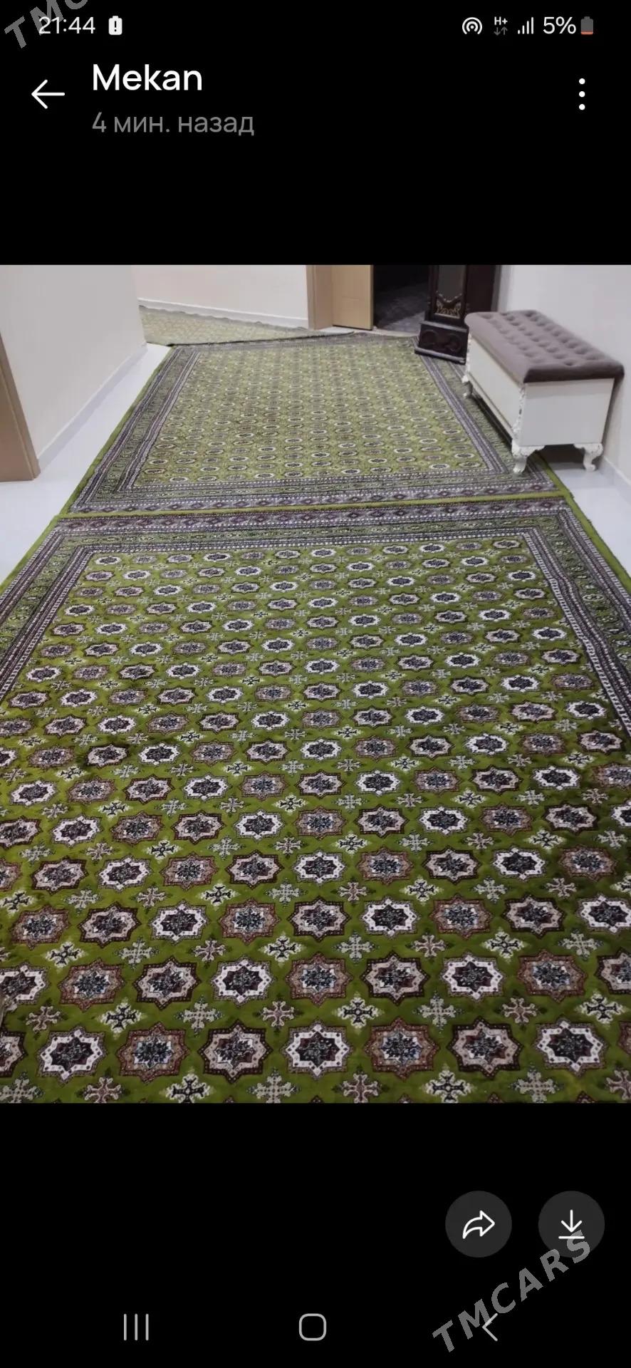 haly - Türkmenbaşy - img 1