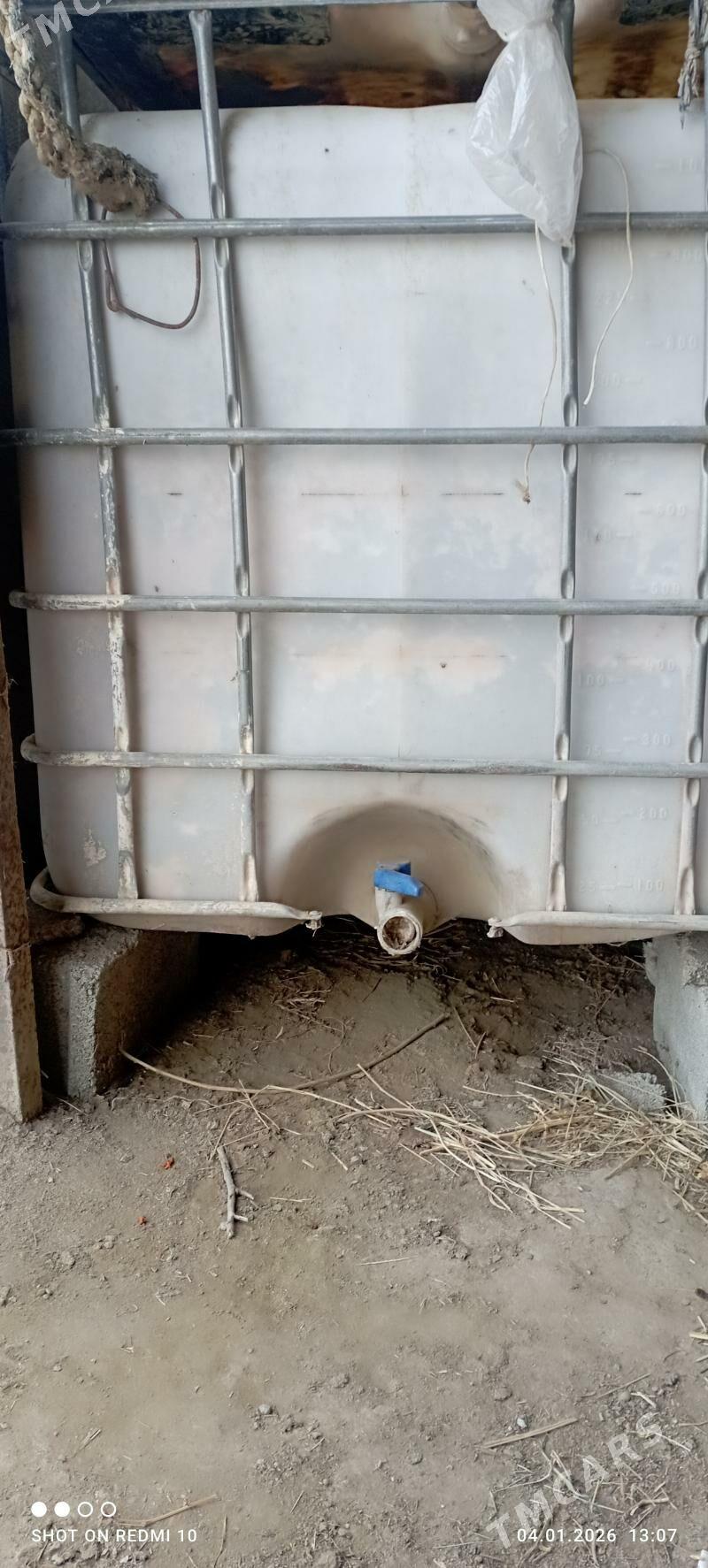 Suw boçga - Gökdepe - img 1