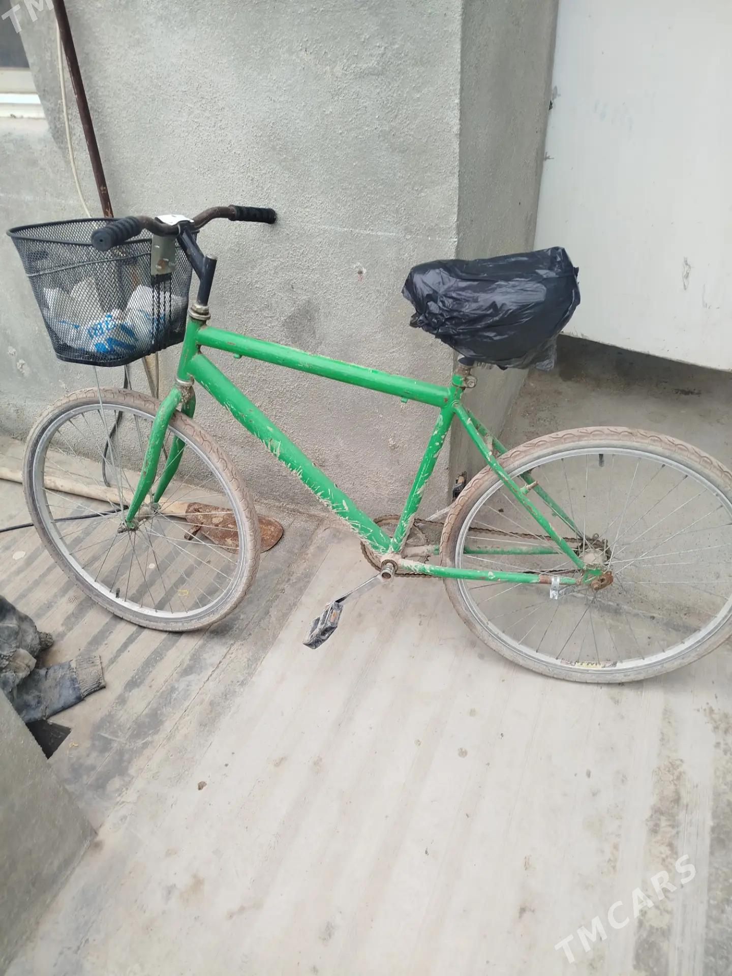 tigir - Ak bugdaý etraby - img 1