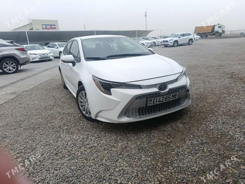 Toyota Corolla 2021 - 250 000 TMT - Мары - img 1