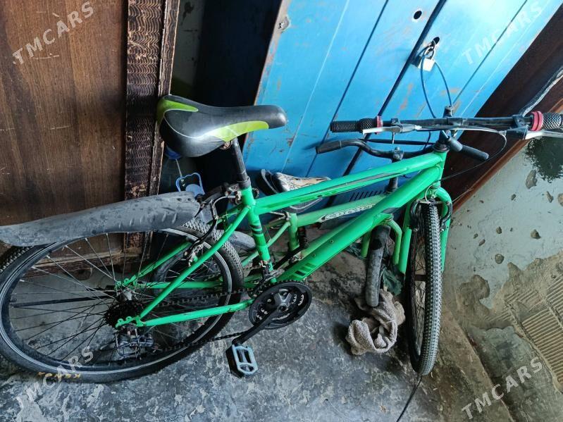 tigir Türkmenistan - Büzmeýin - img 1