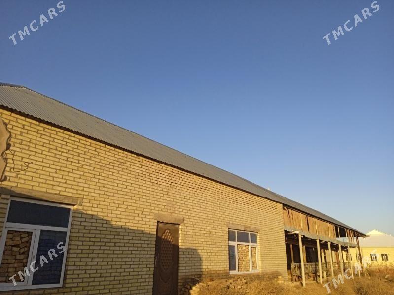 мелек жай - Baýramaly - img 1