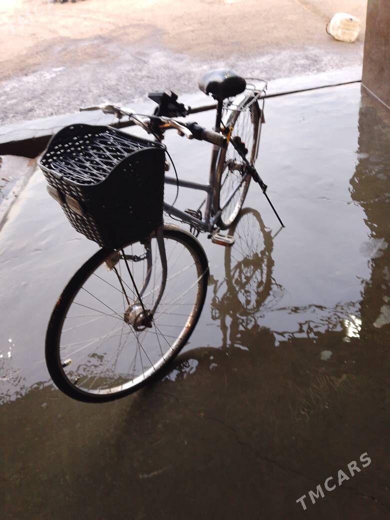 Welsepet - Мары - img 1