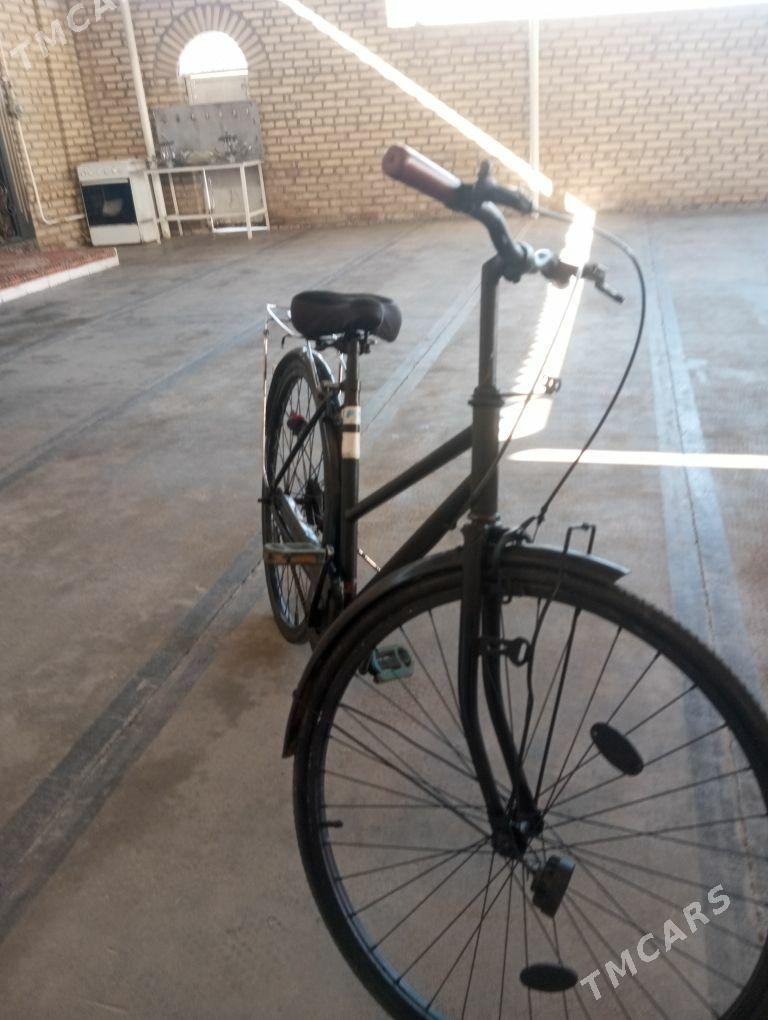 26 lyk yaponysky - Мары - img 1