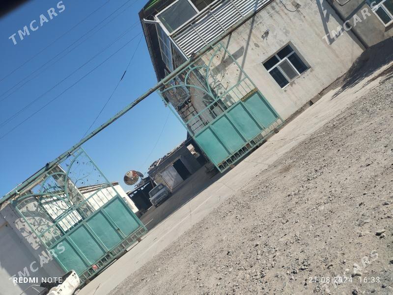 Jay satlayk tejen - Теджен - img 1