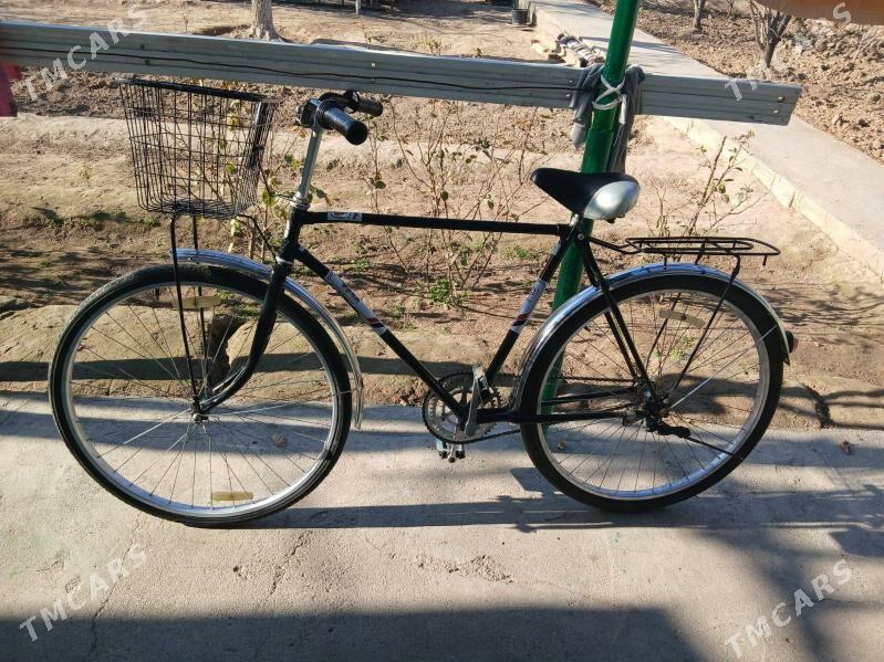 tigir - Bekrewe - img 1