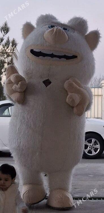 miska buba - Podwoýski köç. (Bitarap Türkmenistan şaýoly) - img 1