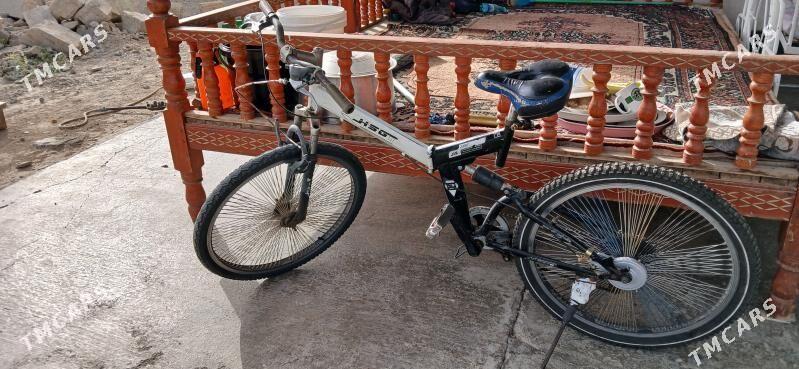 tigir - Кипджак - img 1