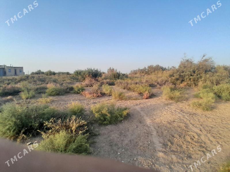 Satlyk yer 16sotok - Tejen - img 1