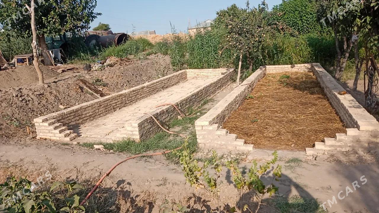 Biogumus Биогумус - Фарап - img 1