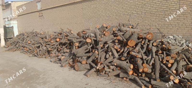 Odun - Sakar - img 1