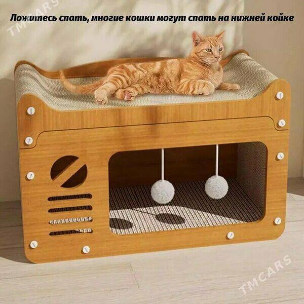 Кошкин дом - Бекреве - img 1