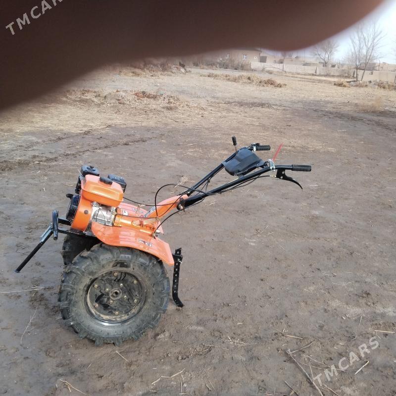 Moolah - Akdepe - img 1