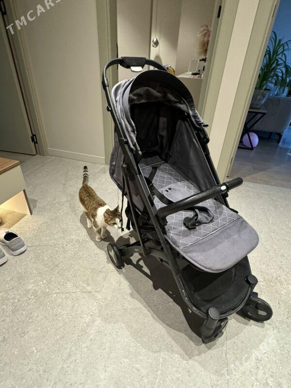 Коляска - Ашхабад - img 1