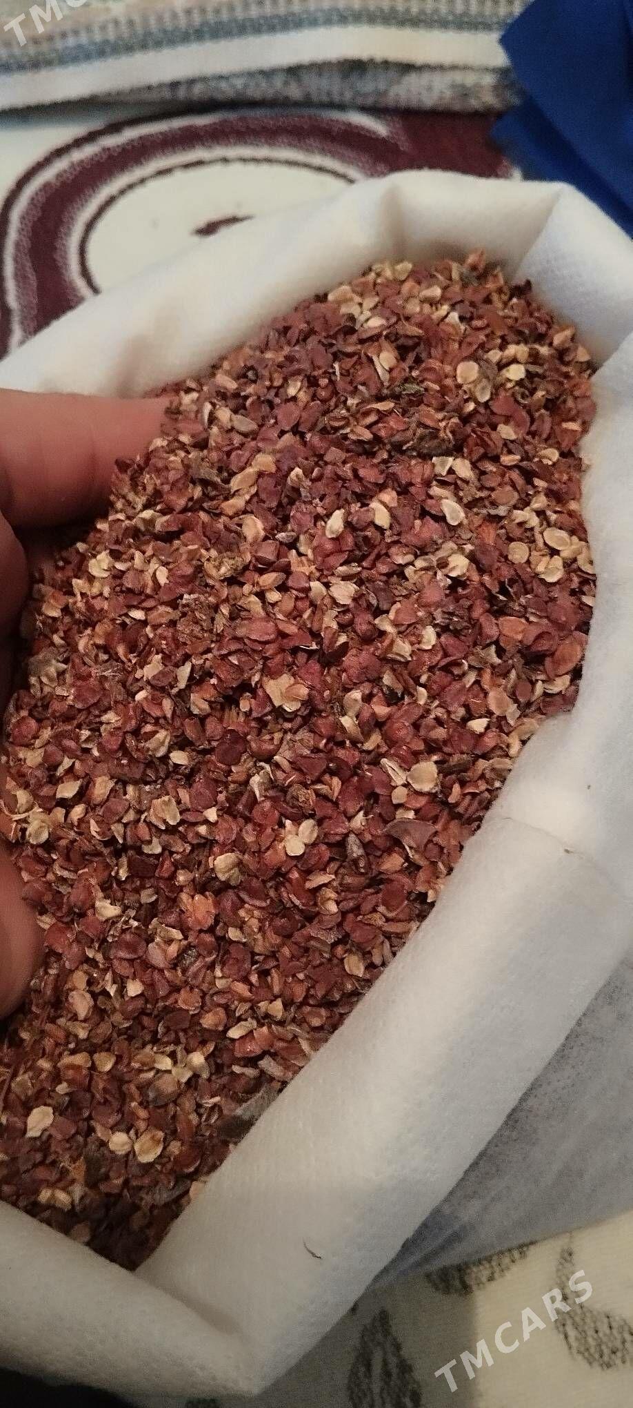 yolka tohum - Ашхабад - img 1