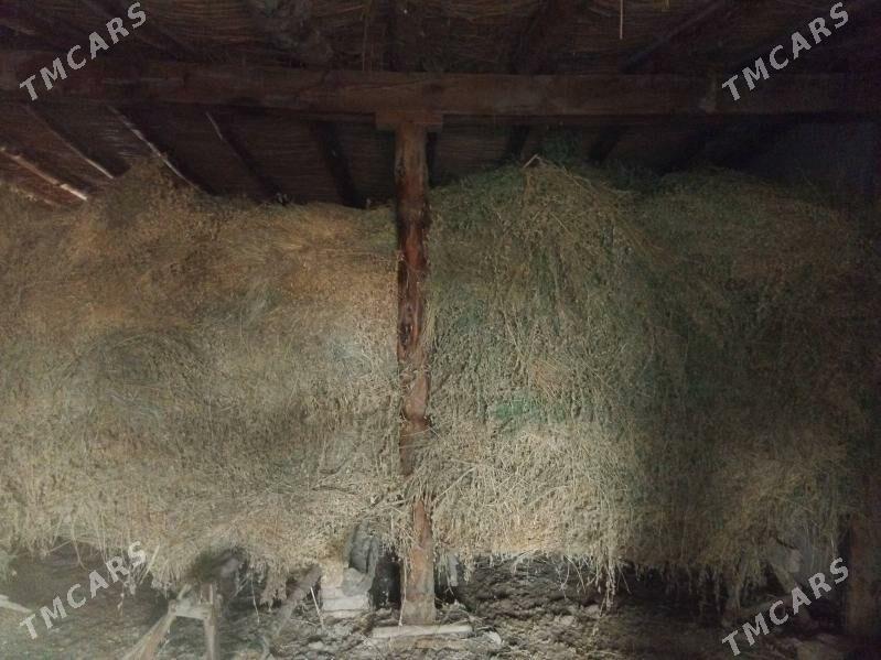 АРАСА БЕДЕ - Дянев - img 1