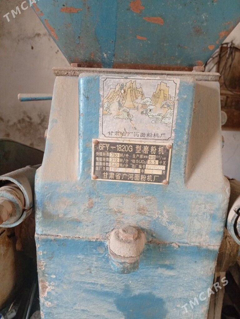 Un degirmen - Койтендаг - img 1