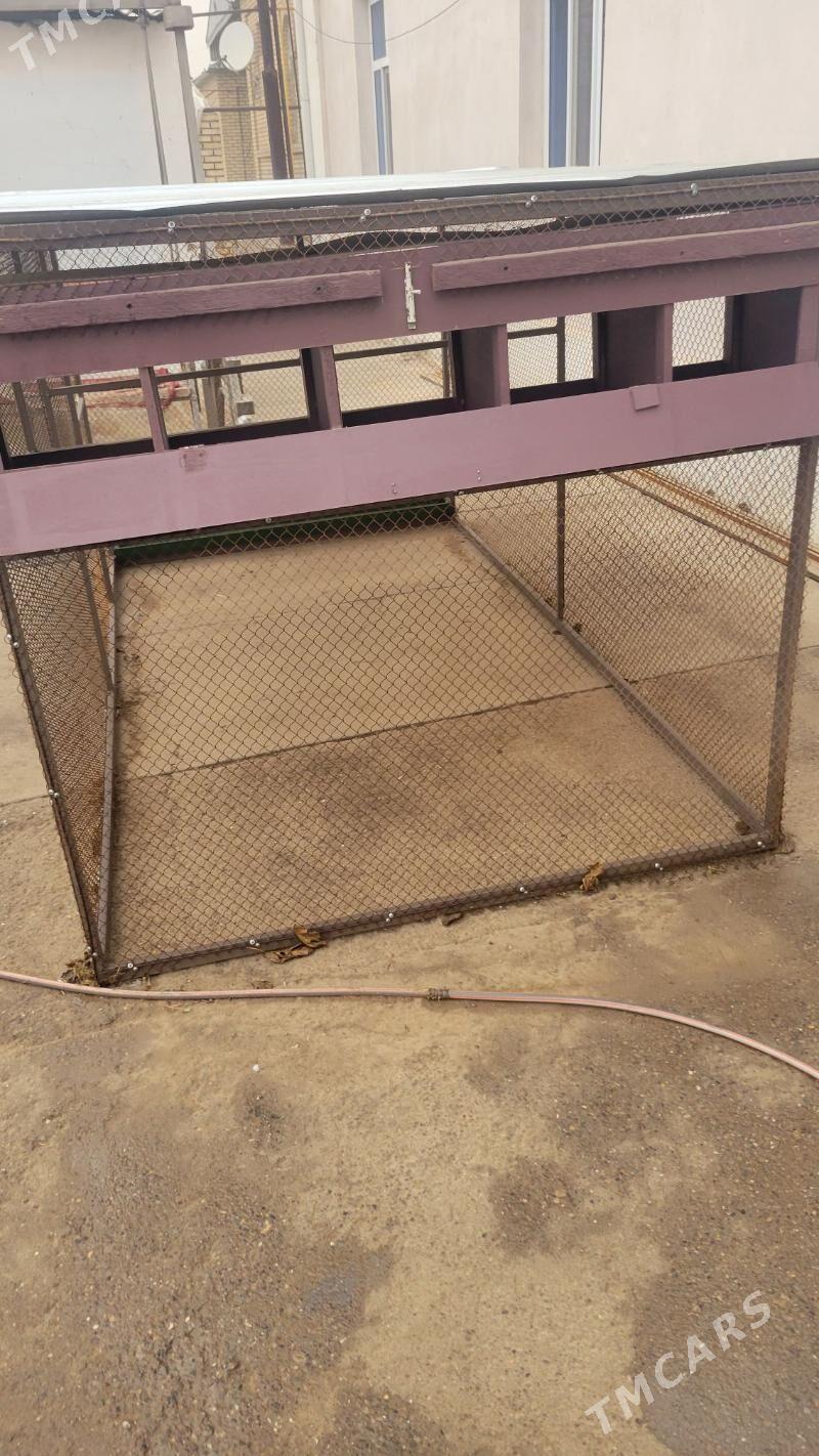 Towuk ketek - Мары - img 1