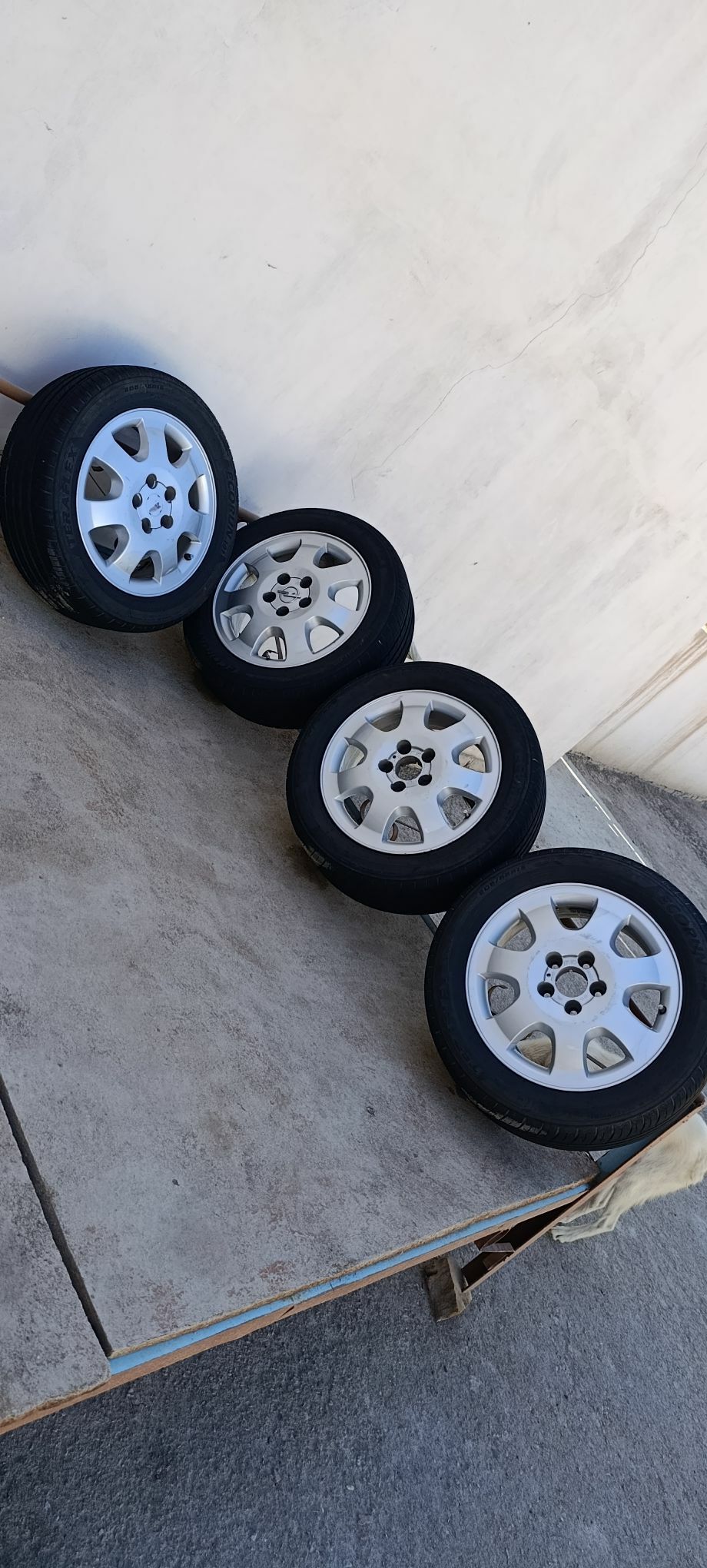 diska balon 4 900 TMT - Daşoguz - img 1