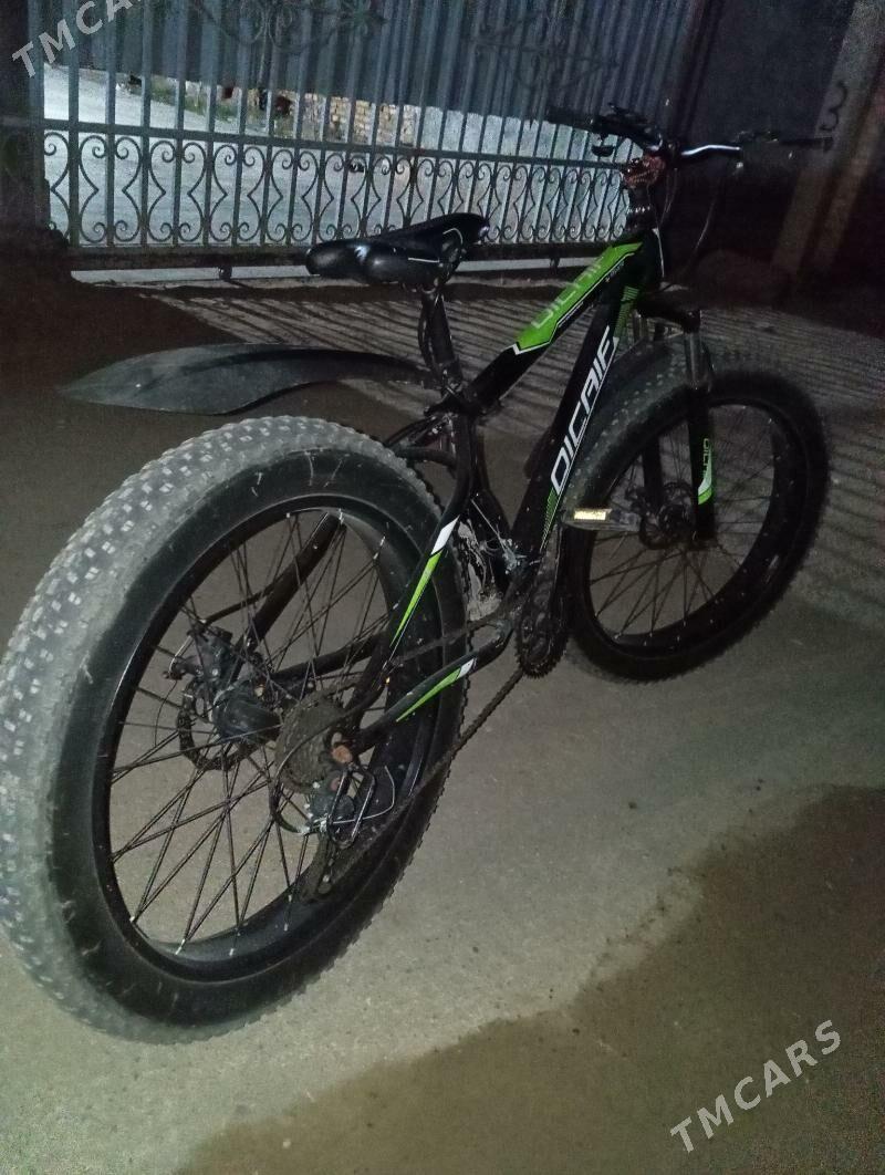 tigir - Änew - img 1