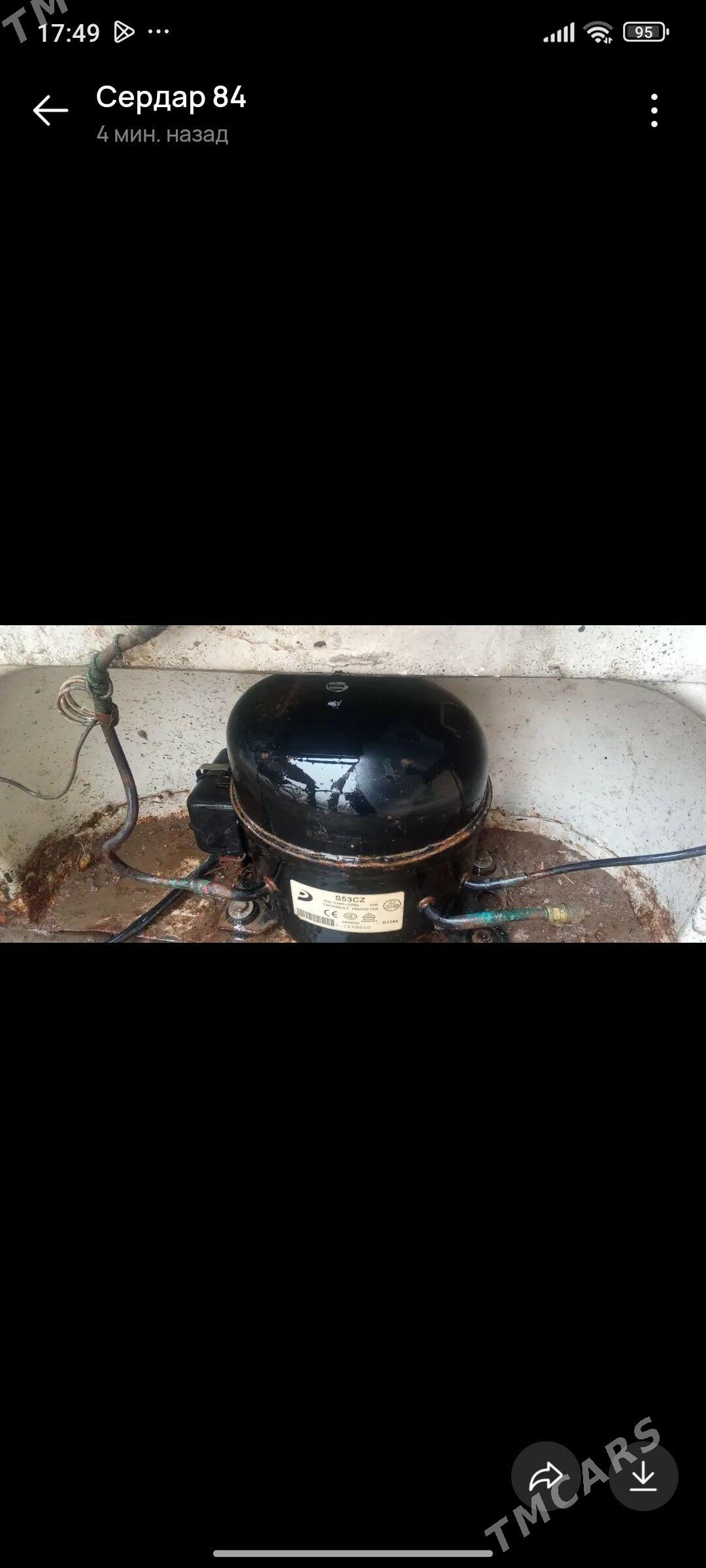 Дивитил Халадиник - Мары - img 1