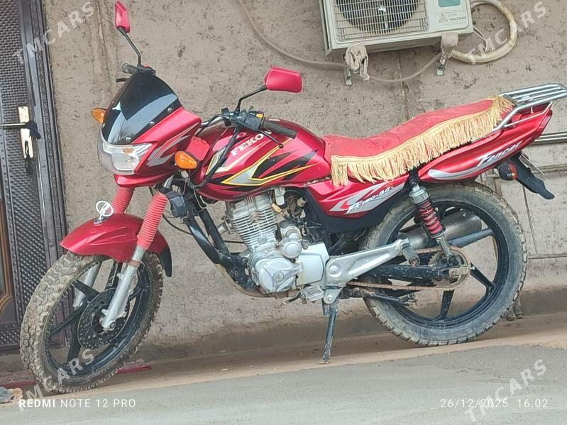 Fekon FK200-14G 2019 - 15 000 TMT - Магданлы - img 1