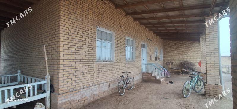 Satlyk planowoý jaý - Керки - img 1