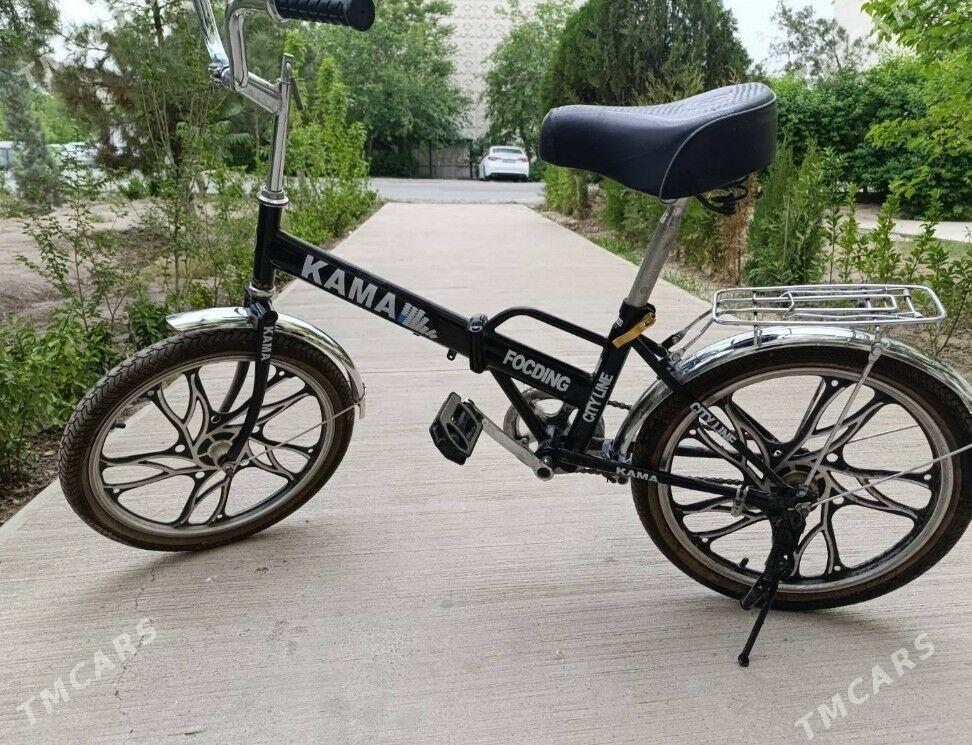 kama tigir - Гаудан "В" - img 1