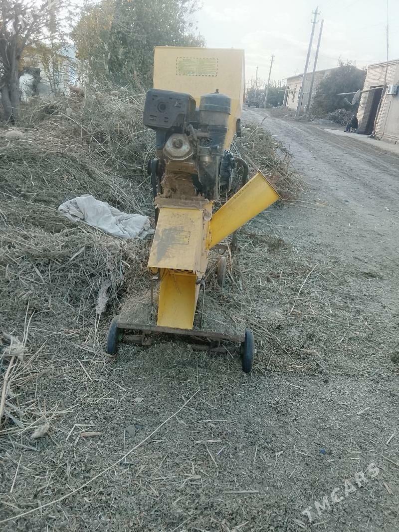 Agrigat - Dänew - img 1