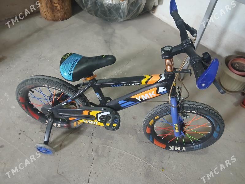 Tigir - Кëши - img 1