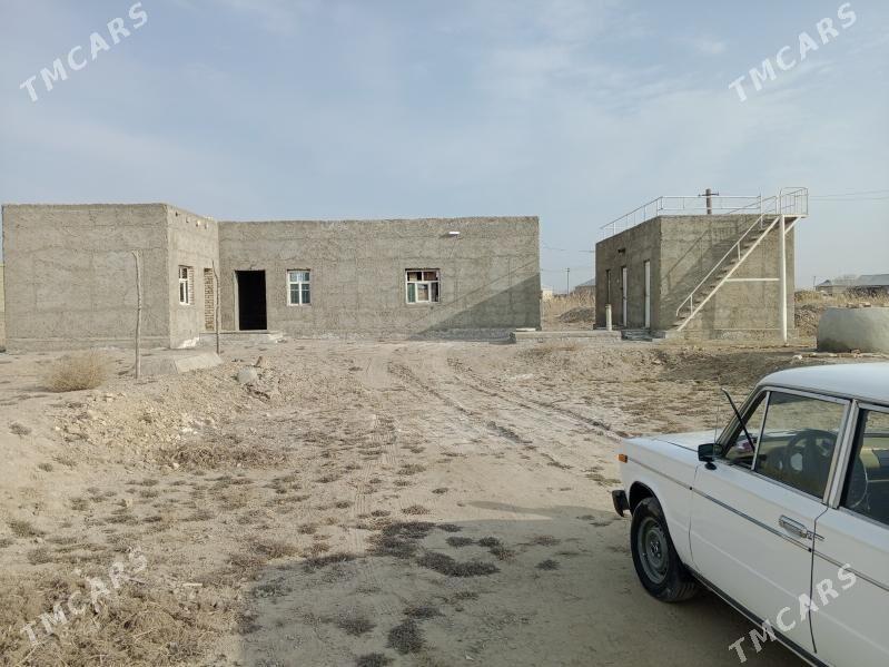 satlyk jay - Байрамали - img 1