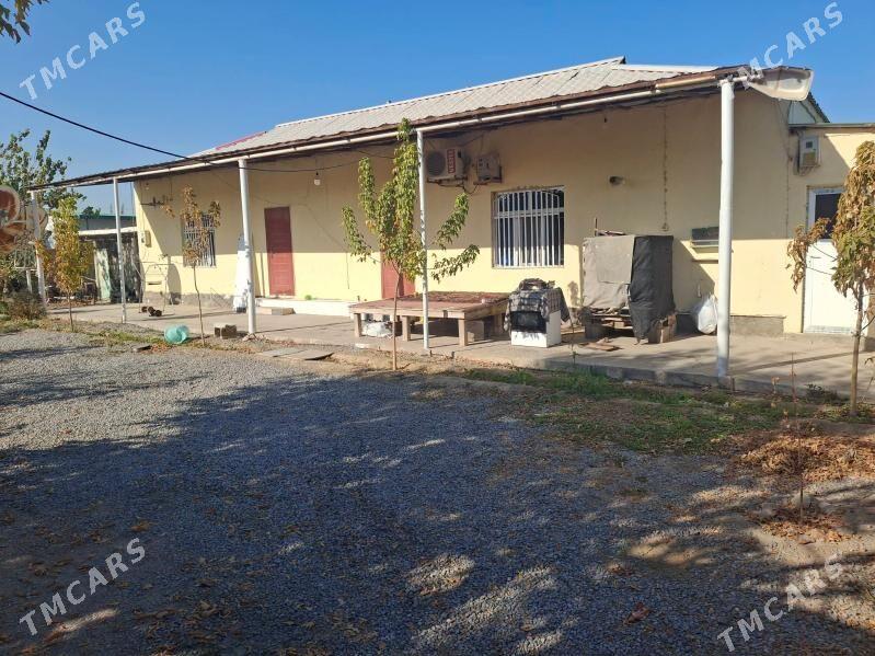 kwartira - Gypjak - img 1