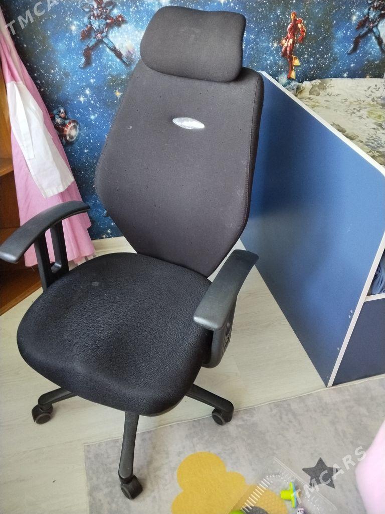 ofis kreslo - Türkmenabat - img 1
