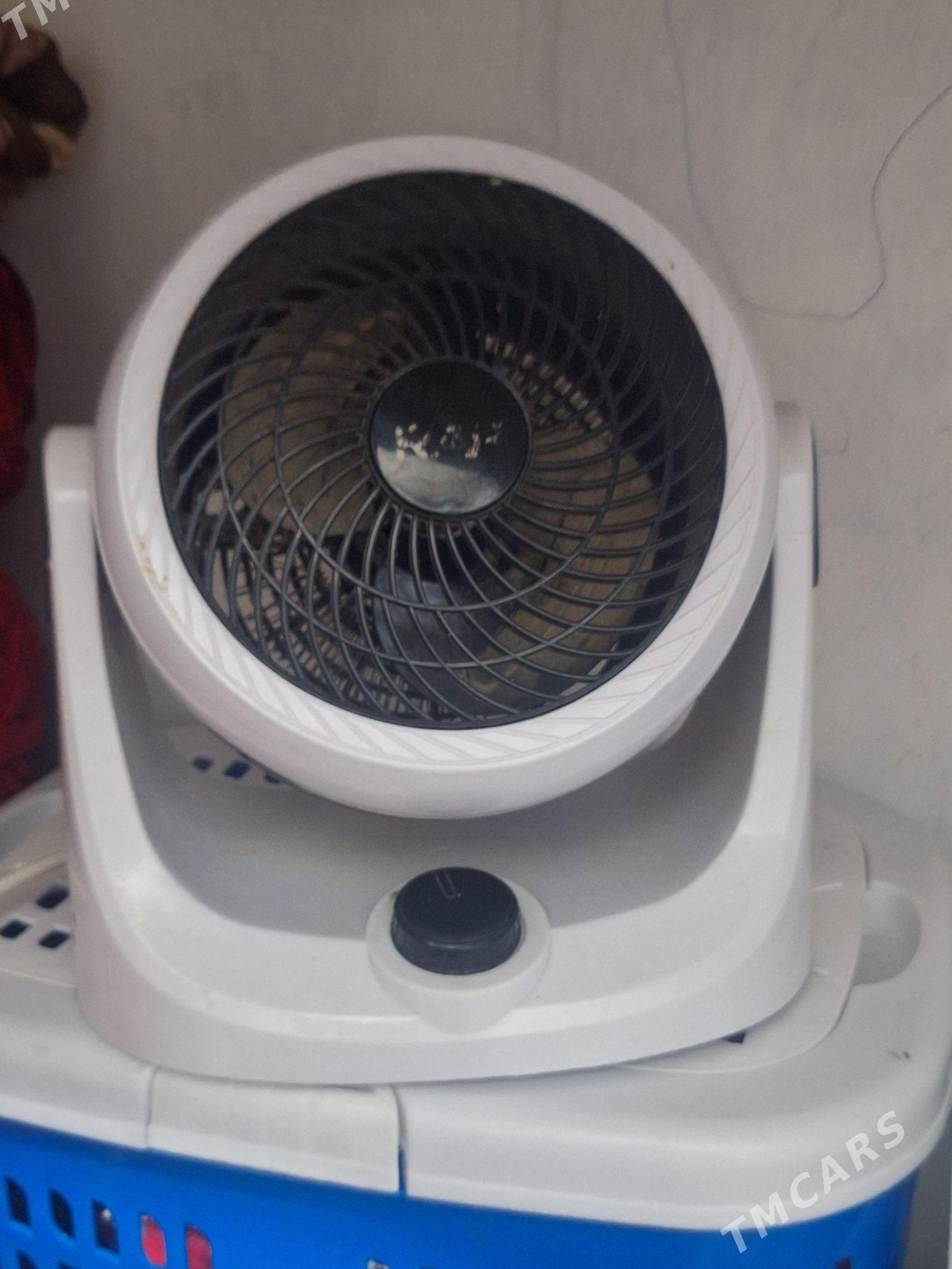 Pecler - Туркменбаши - img 1