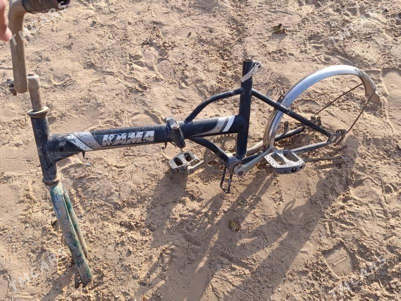 Kama tigir - Чоганлы - img 1