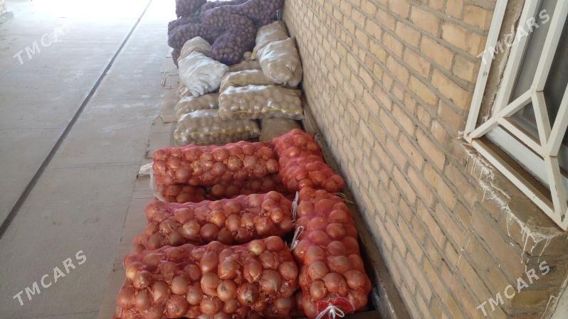 gara kartoşka - Векильбазар - img 1