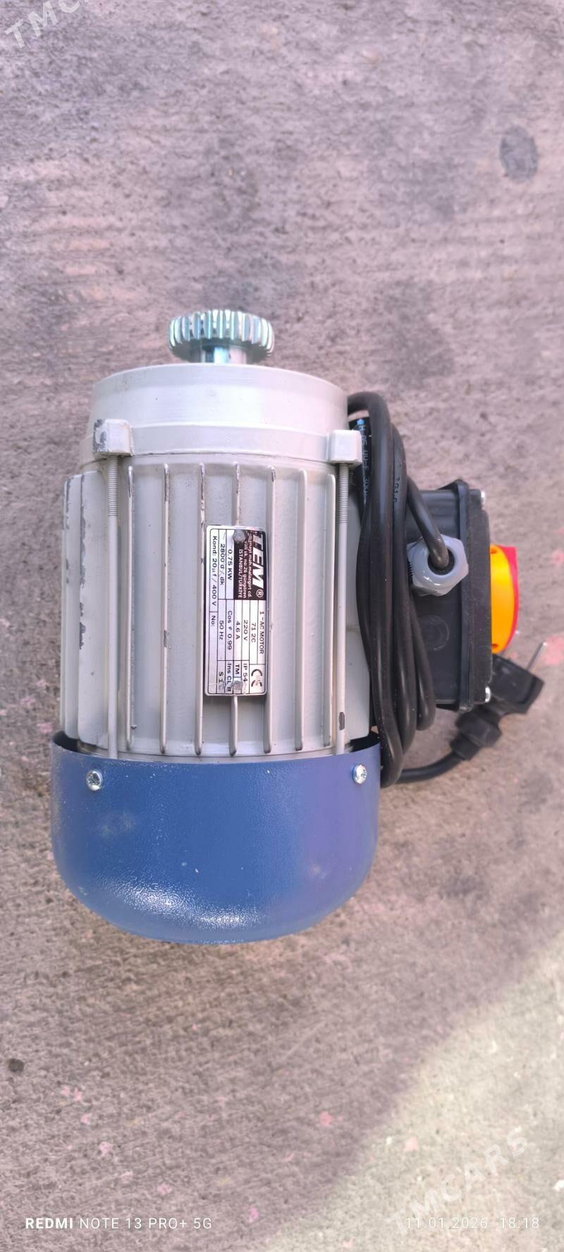 MATOR - Багир - img 1