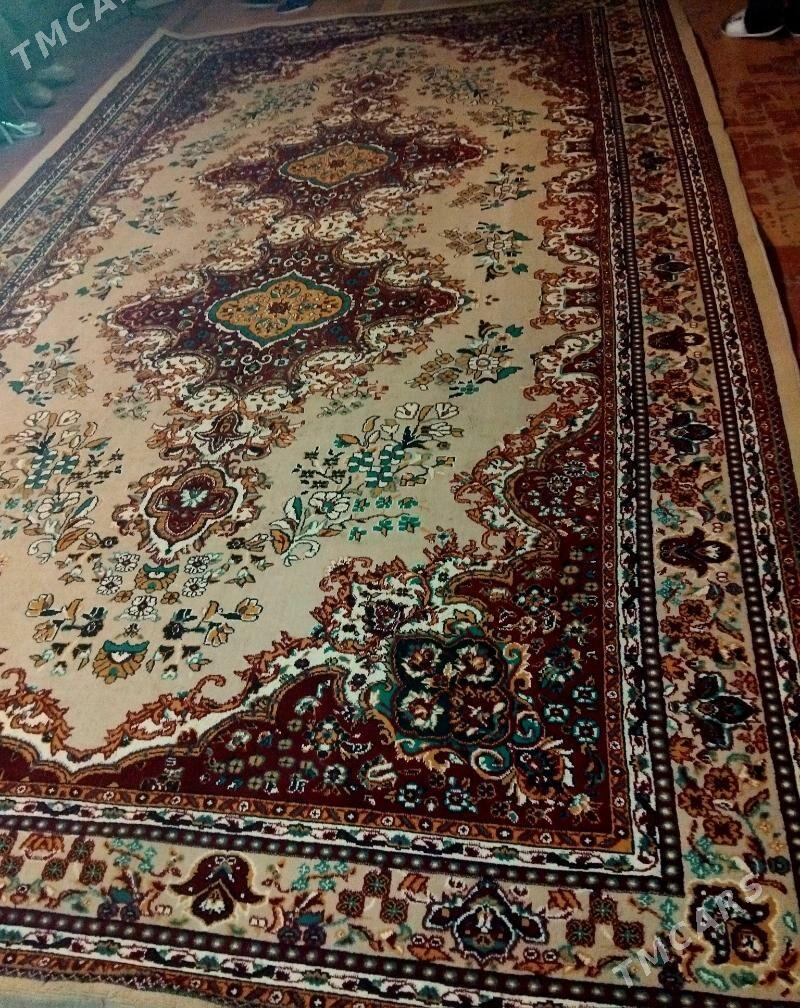 haly - Туркменабат - img 1