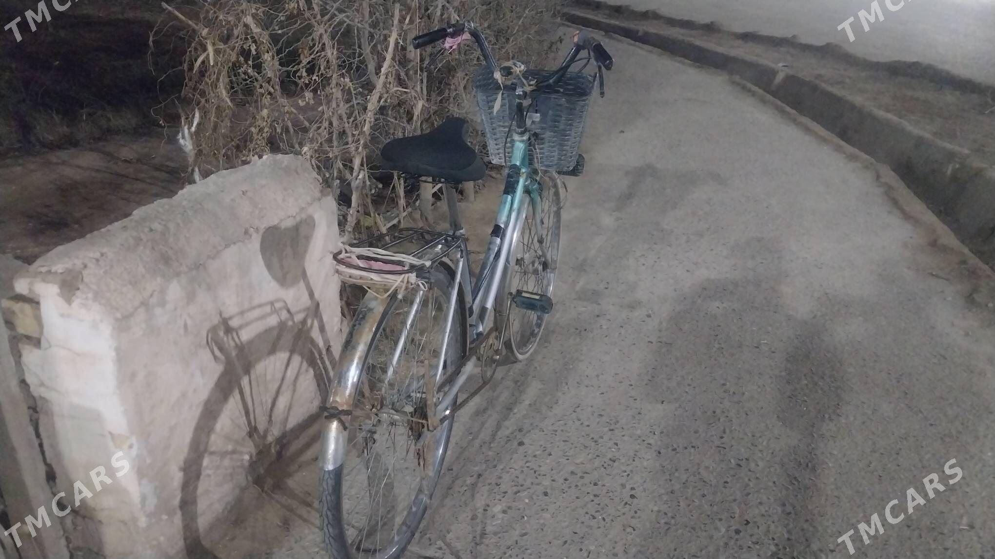 tigir - Babadaýhan - img 1