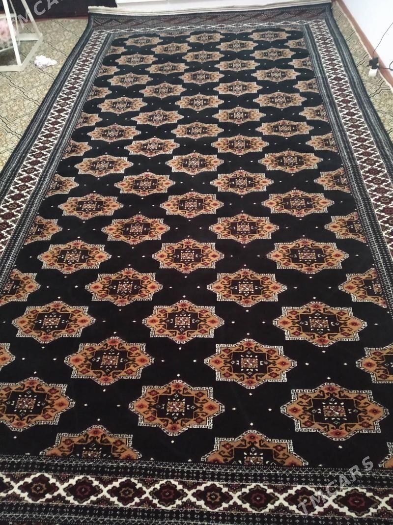 AKMAÝA HALY - Esenguly - img 1