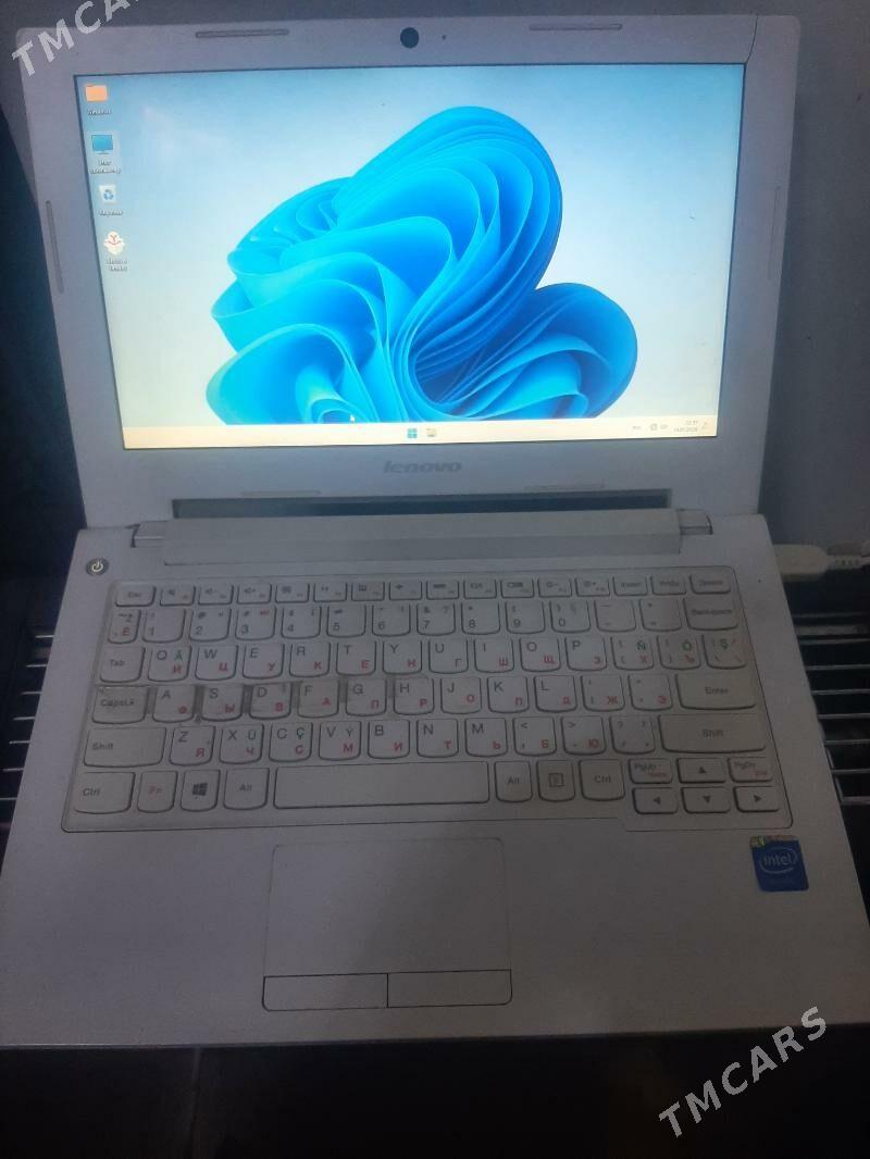 lenova - Sakarçäge - img 1