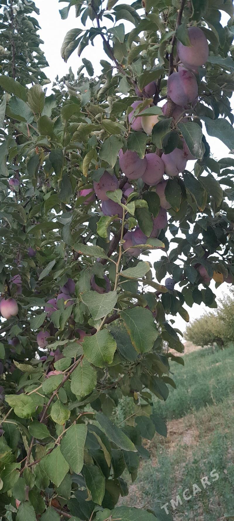 miweli bag - Аркадаг - img 1