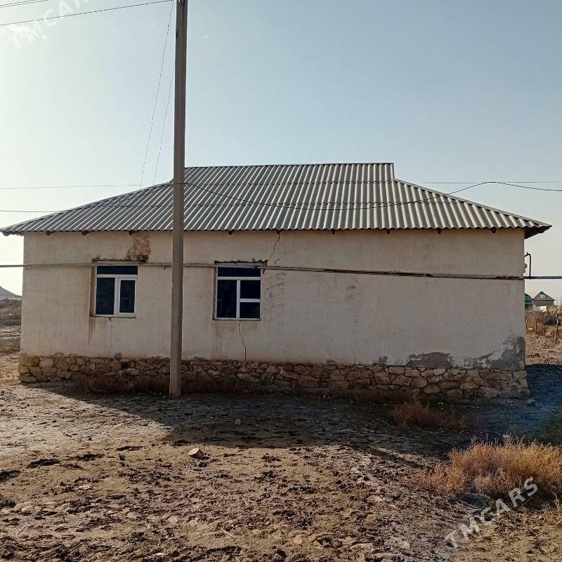 Jay - Койтендаг - img 1