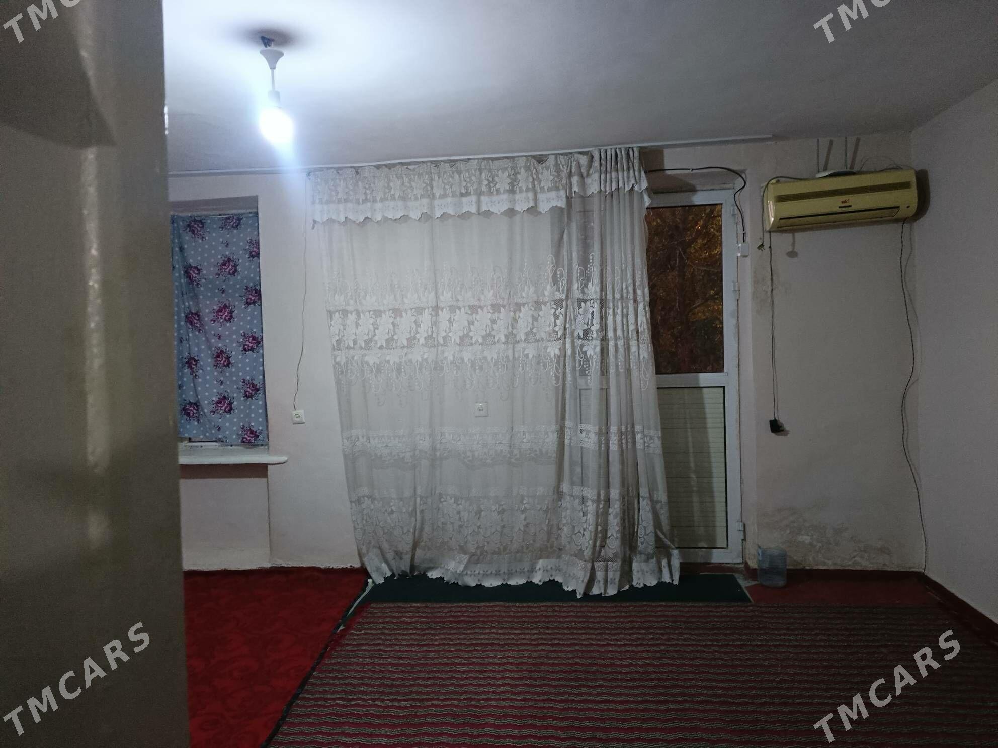 aranda jay - Mary - img 1