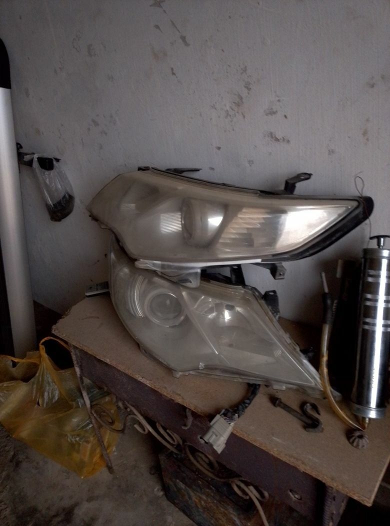 Balta cemrinin fary 1 000 TMT - Daşoguz - img 1