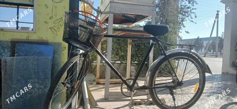 Tigir ural - Büzmeýin - img 1